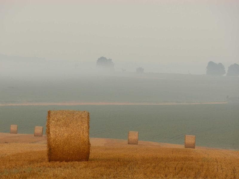 California Growers Cooperative: Soil Nutrition Guidelines